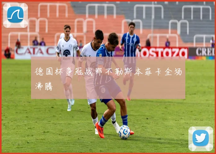 德国杯争冠战那不勒斯本菲卡全场沸腾