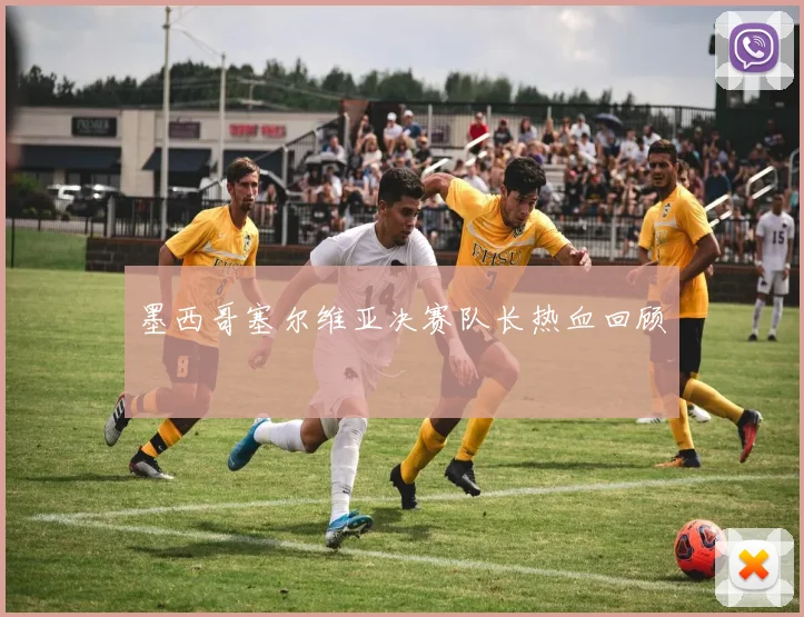 墨西哥塞尔维亚决赛队长热血回顾