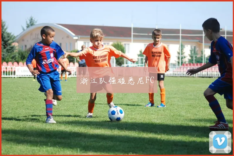 浙江队强碰悉尼FC