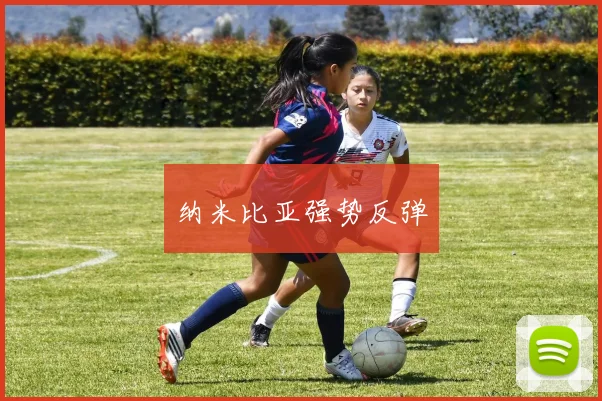 纳米比亚强势反弹