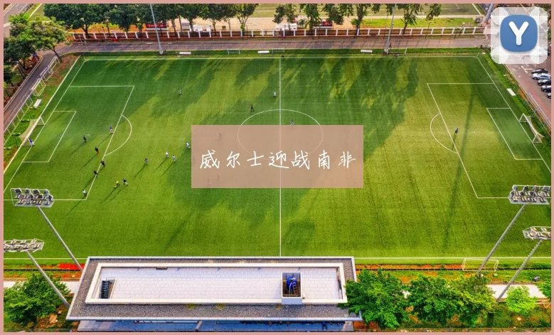 威尔士迎战南非