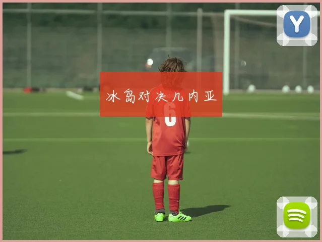 冰岛对决几内亚