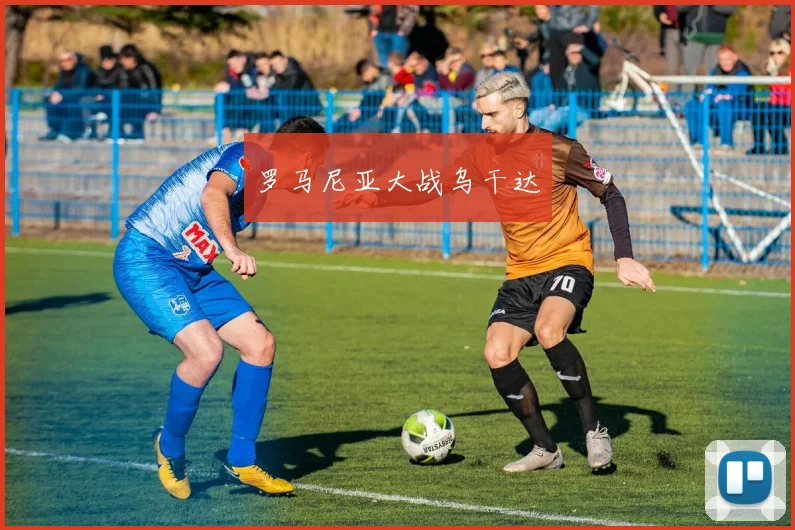 罗马尼亚大战乌干达