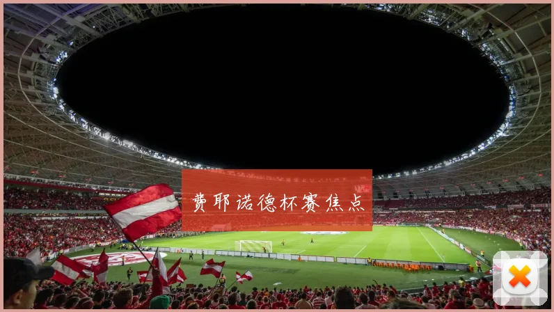 费耶诺德杯赛焦点