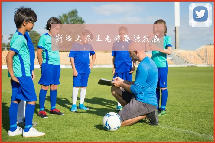 斯洛文尼亚老将赛场发威