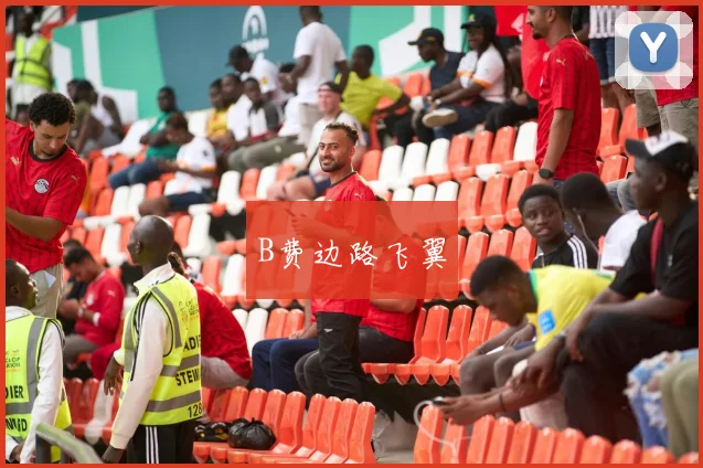 B费边路飞翼