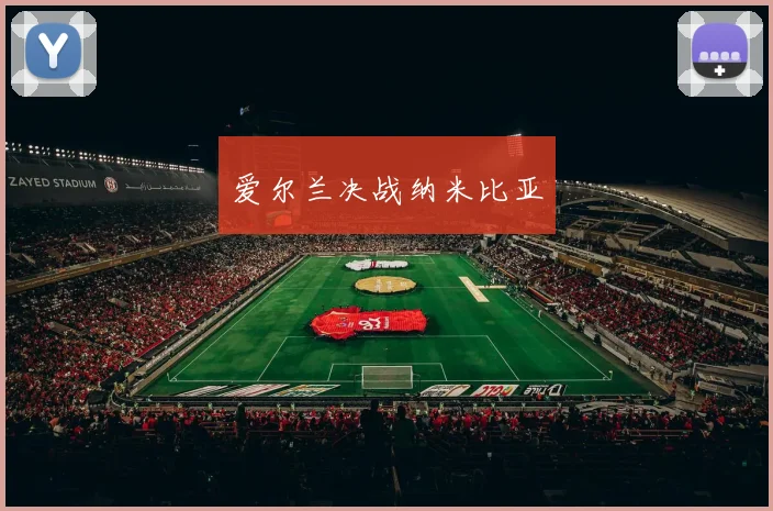 爱尔兰决战纳米比亚