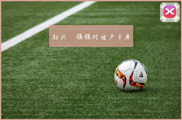 孙兴慜强强对话卢卡库
