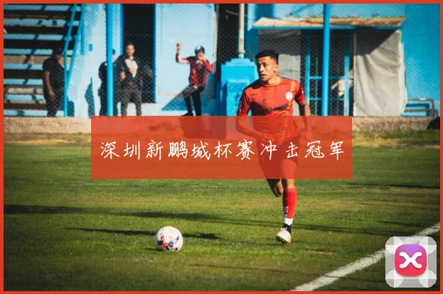 深圳新鹏城杯赛冲击冠军