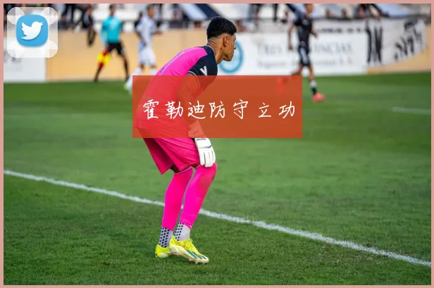 霍勒迪防守立功