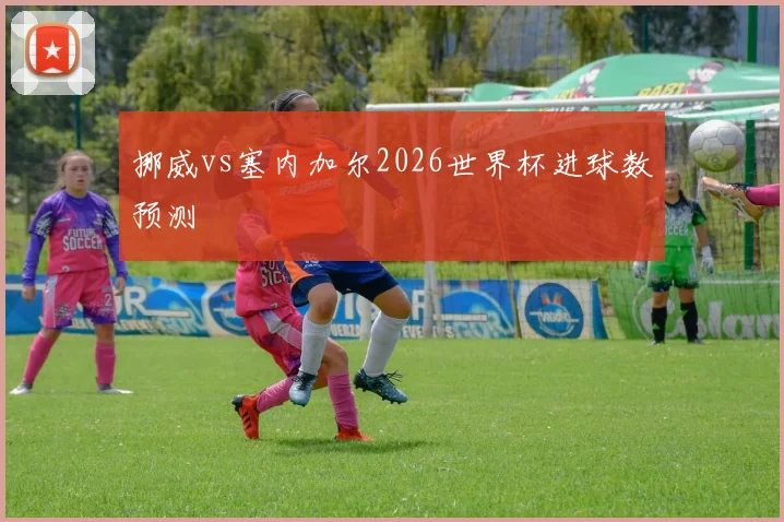挪威vs塞内加尔2026世界杯进球数预测
