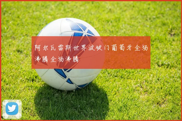 阿尔瓦雷斯世界波破门葡萄牙全场沸腾全场沸腾