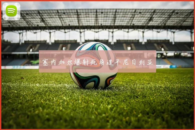 塞内加尔爆射死角追平尼日利亚