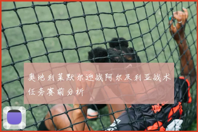 奥地利莱默尔迎战阿尔及利亚战术任务赛前分析