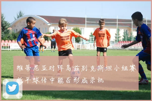 维蒂尼亚对阵乌兹别克斯坦小组赛低平球传中能否形成杀机